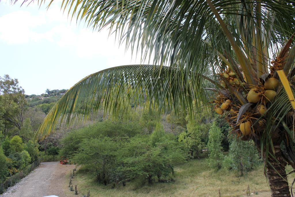Villa Le Chapo Port Mathurin Rum bild